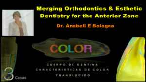 Merging Orthodontics & Esthetic Dentistry for the Anterior Zone