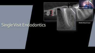 Single Visit Endodontics 1 Single Visit Endodontics