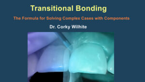 Transitional Bonding – The Formula for Solving Complex Cases with Components