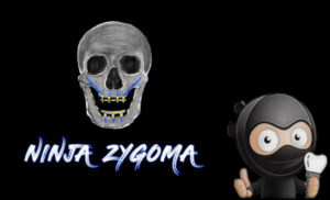 Ninja Zygoma Course
